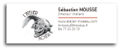 Sebastien Mousse cv