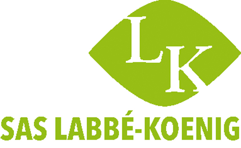 Logo LK